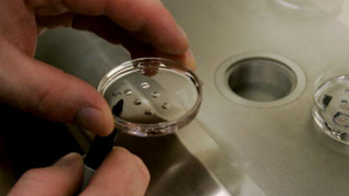 Scientists Edited a Human Embryo—But It Didn't Go Very Well